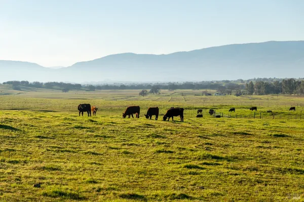 $5,300,000 | 17775 Long Hollow Road, Corning, CA 96021