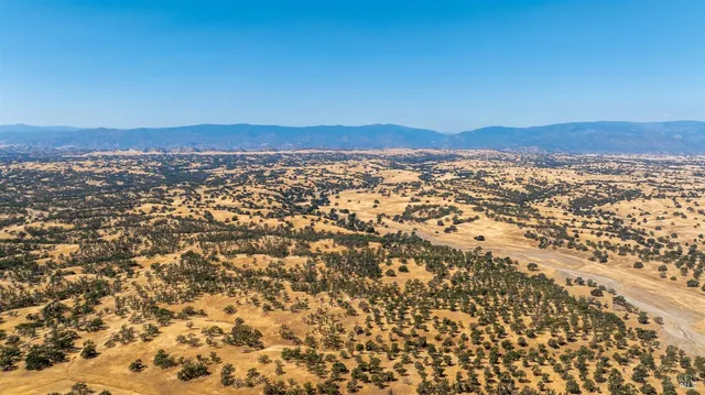 $5,300,000 | 17775 Long Hollow Road, Corning, CA 96021