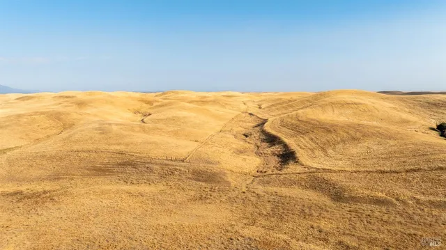 $5,300,000 | 17775 Long Hollow Road, Corning, CA 96021