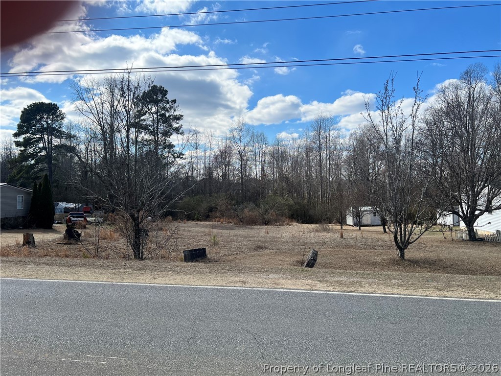 1165 Townsend Road Raeford, NC 28376 - Photo 2 of 4