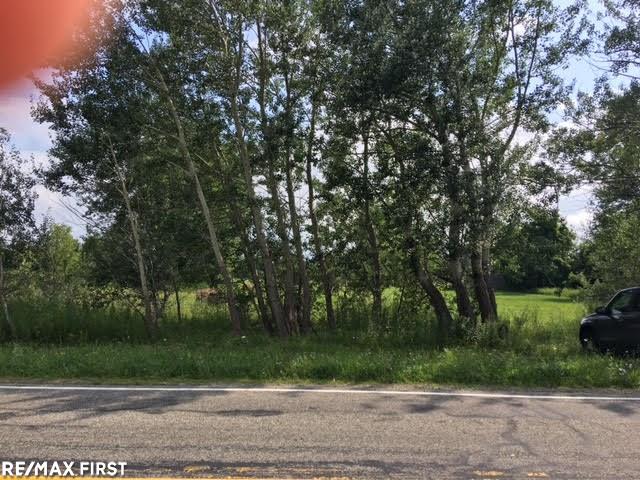 0 Belle River Road Allenton, MI 48002 - Photo 14 of 20