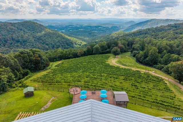 a aerial view of a house with swimming pool lawn chairs and large trees