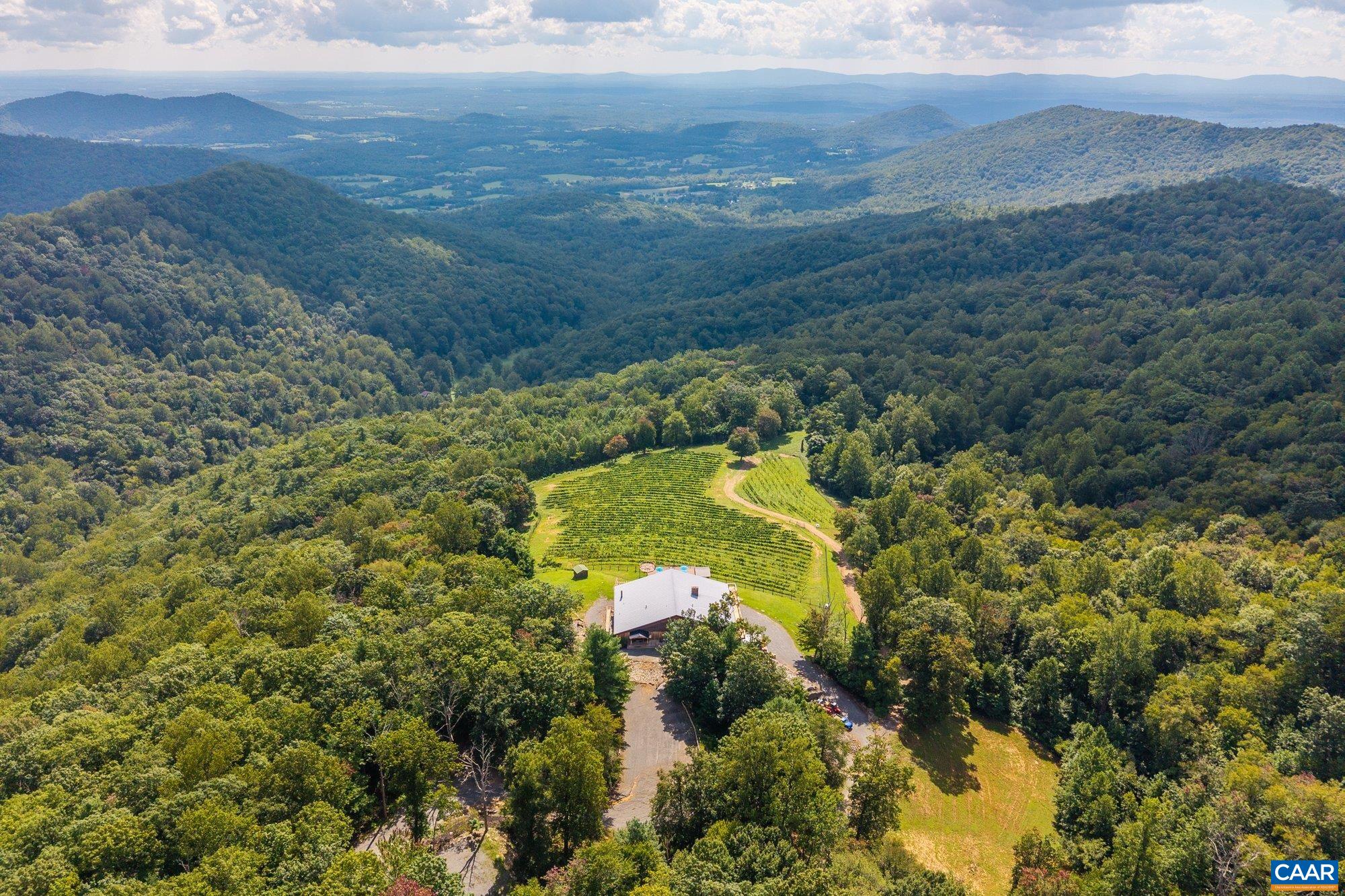 1376 Wyatt Mountain Road Dyke, VA 22935 - Photo 4 of 75 a view of a lake in middle of forest