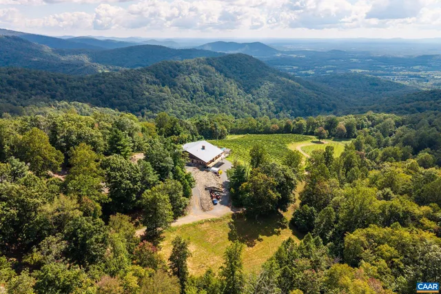 a view of a lush green outdoor space with a lake view