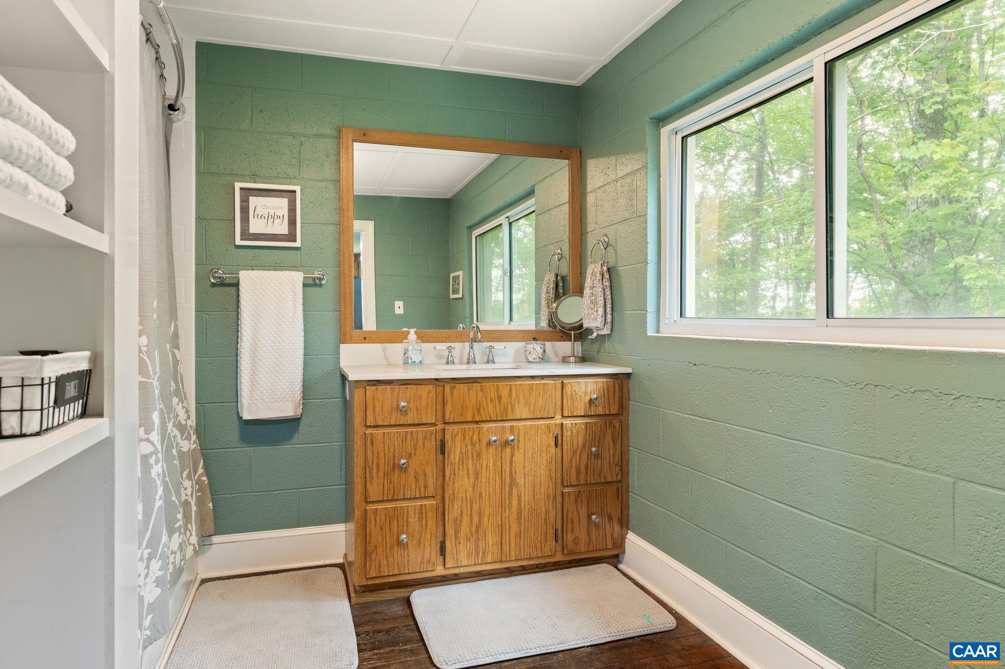 1376 Wyatt Mountain Road Dyke, VA 22935 - Photo 74 of 75 a bathroom with a sink a mirror and a shower