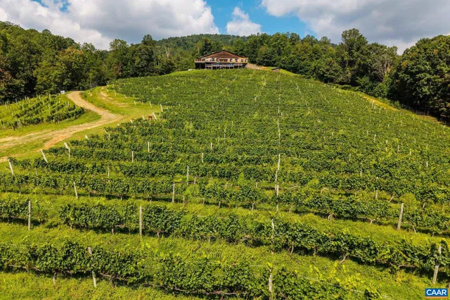 a view of a forest that has a street sign on the side of the road