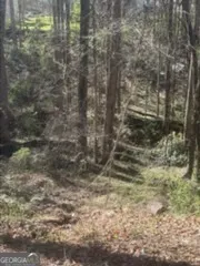 $50,000 | 10996 Shannon Circle, Hampton, GA 30228