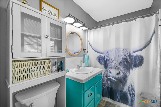 a bathroom with a sink mirror vanity and toilet