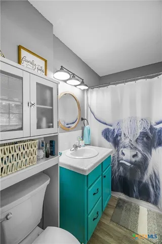 a bathroom with a sink mirror vanity and toilet