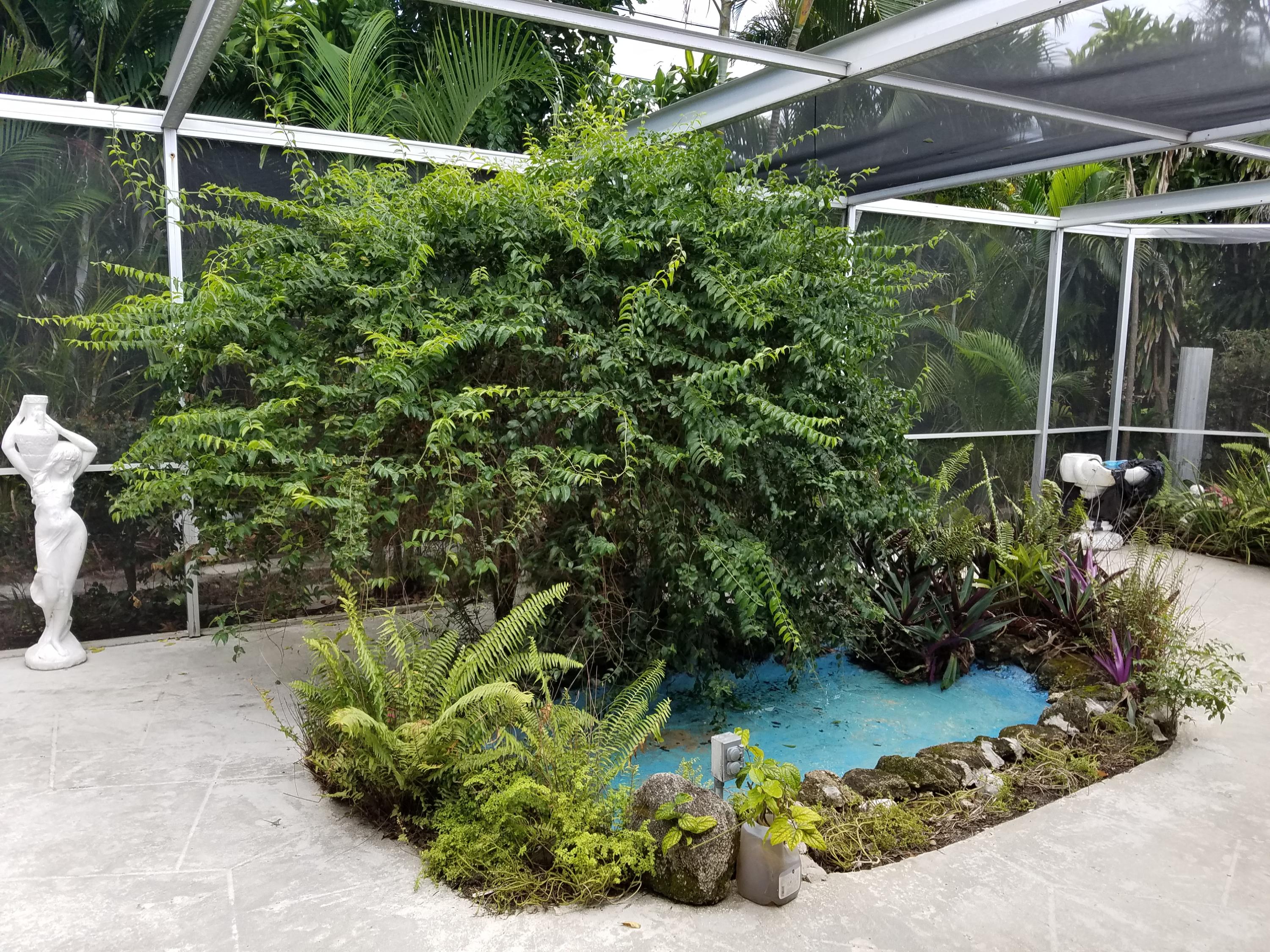 341 Northeast 24th Street Boca Raton, FL 33431 - Photo 18 of 72 20180806_123752