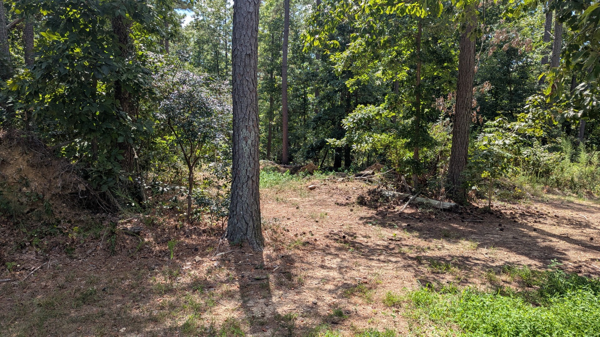 0 Carter Hollow Road Linden, TN 37096 - Photo 11 of 26 Gallery Image 11