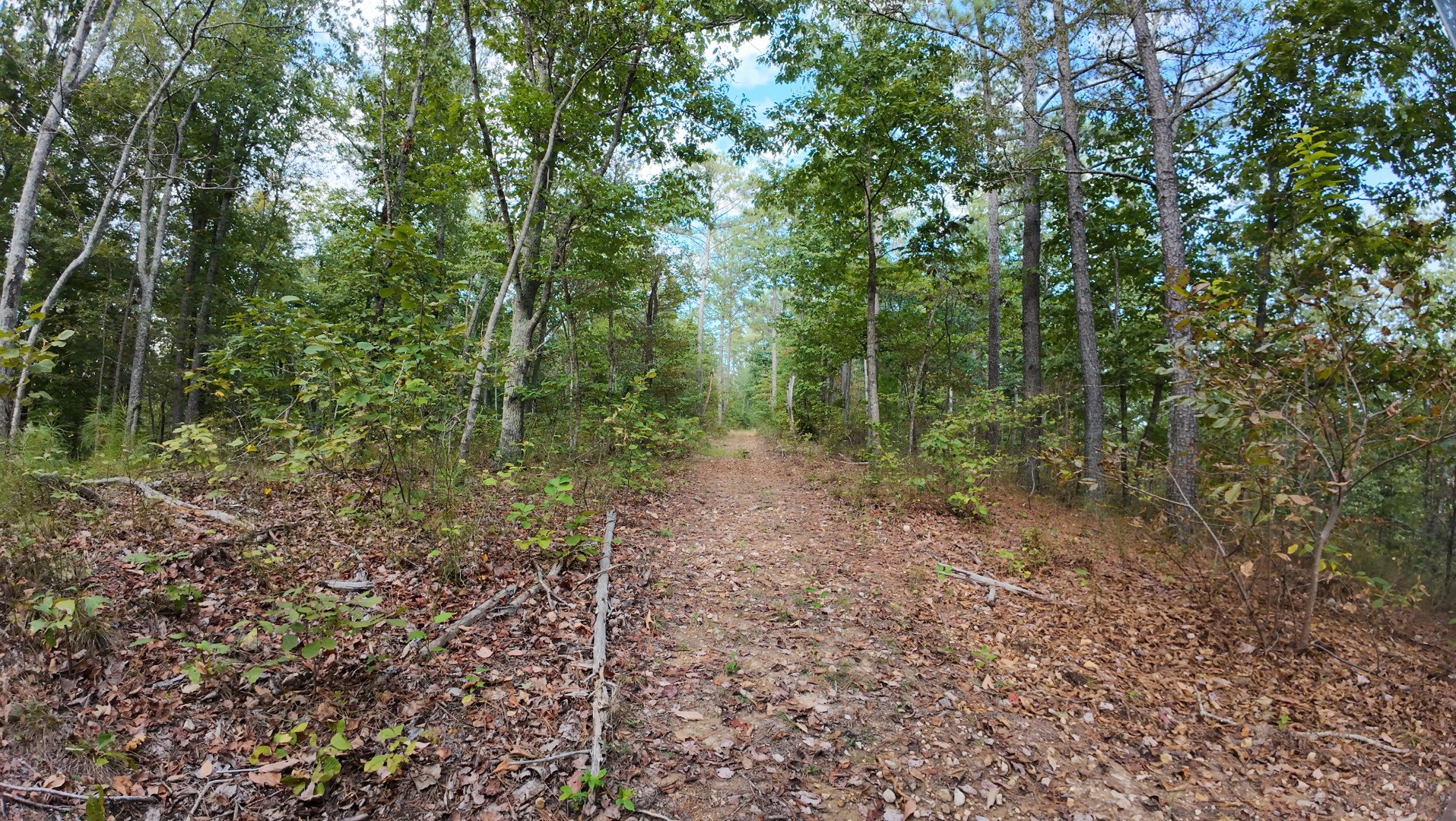 0 Carter Hollow Road Linden, TN 37096 - Photo 7 of 26 Gallery Image 7
