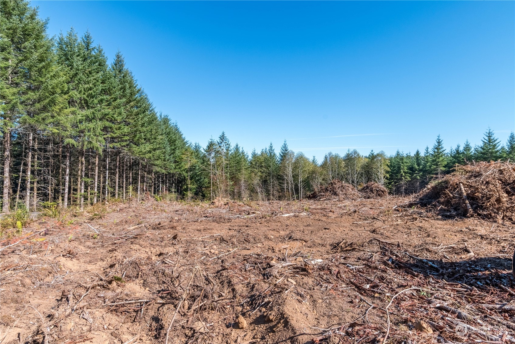 0 Orion Road Longview, WA 98632 - Photo 6 of 9 a view of an empty space with a street