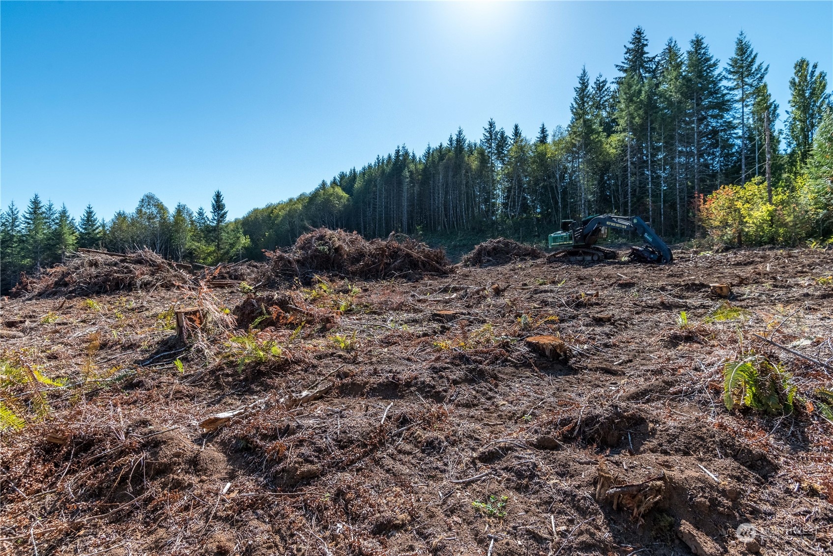 0 Orion Road Longview, WA 98632 - Photo 9 of 9 a view of a yard with a tree