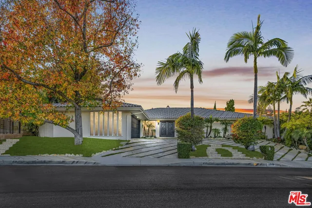 a palm tree sitting on a sidewalk next to a road