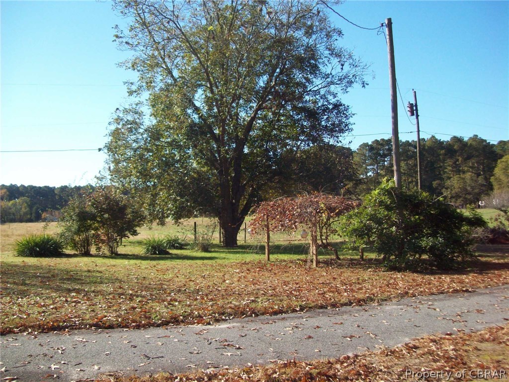477 Rains Lane Cardinal, VA 23025 - Photo 6 of 30 Side of property with large grape arbor