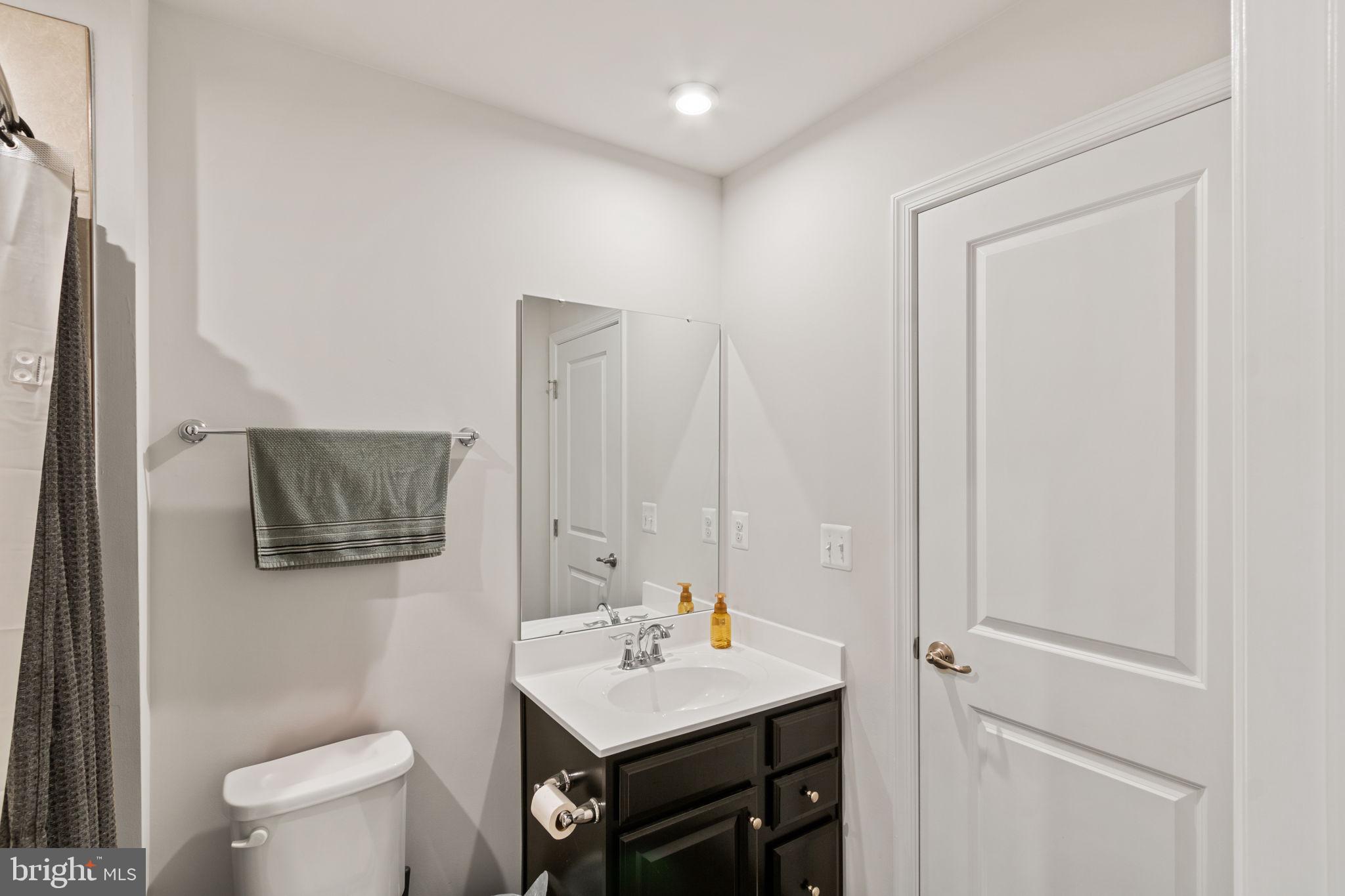 527 View Point Way Fredericksburg, VA 22405 - Photo 19 of 43 Basement Full Bathroom