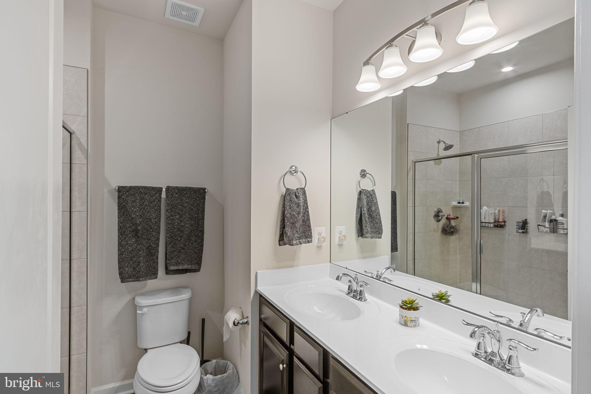 527 View Point Way Fredericksburg, VA 22405 - Photo 30 of 43 Primary Bathroom