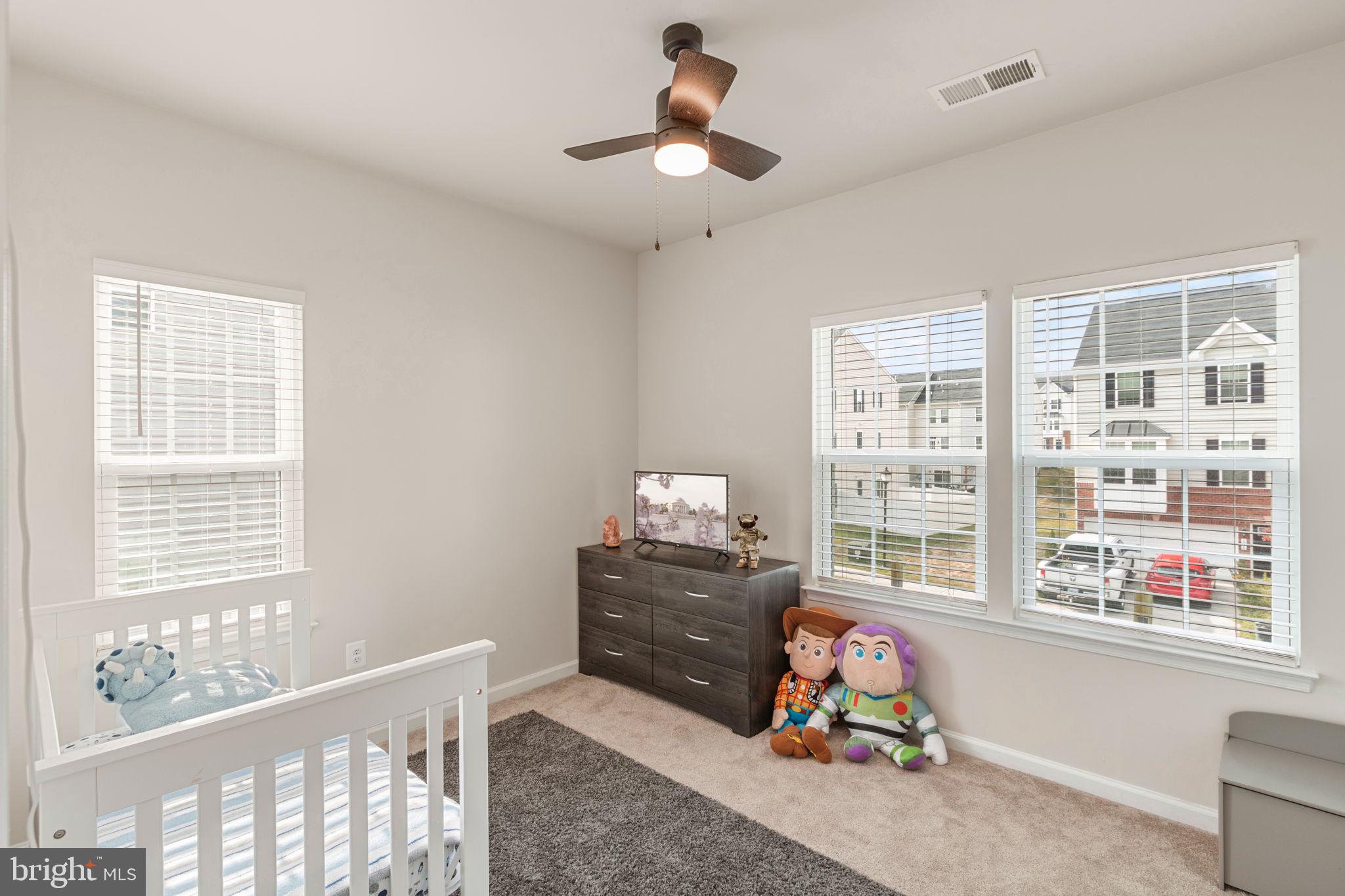 527 View Point Way Fredericksburg, VA 22405 - Photo 33 of 43 Secondary Bedroom