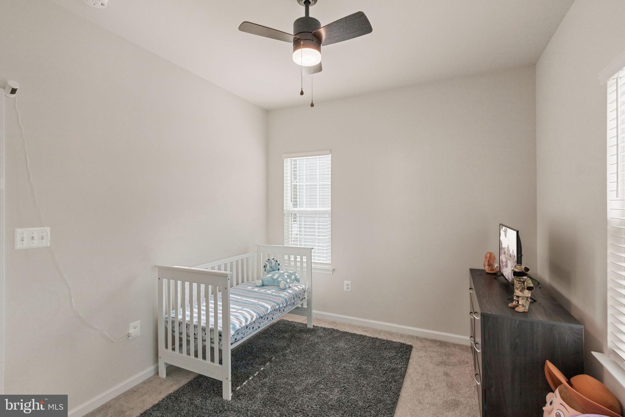 527 View Point Way Fredericksburg, VA 22405 - Photo 34 of 43 Secondary Bedroom