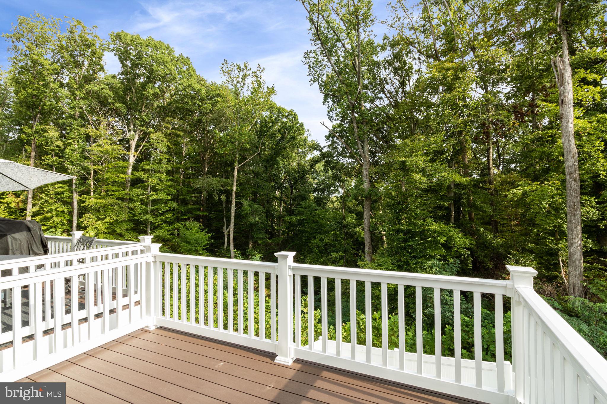 527 View Point Way Fredericksburg, VA 22405 - Photo 38 of 43 PVC Deck