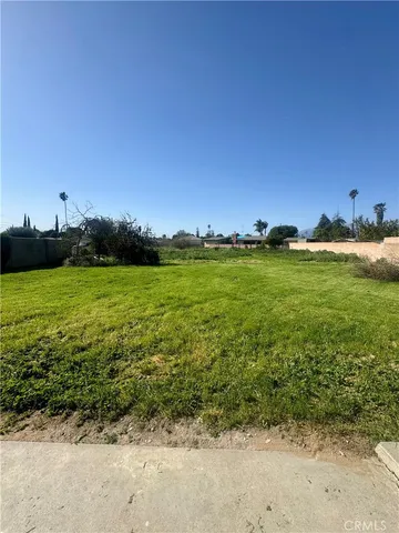 a view of a grassy field with an trees