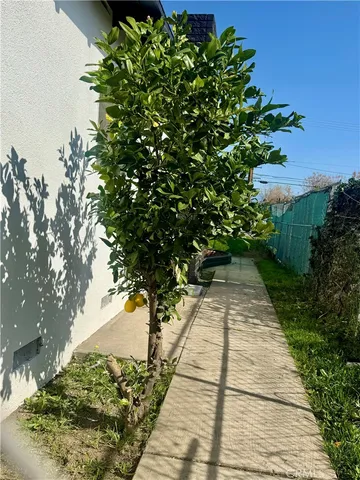 a view of a pathway both side of flowers