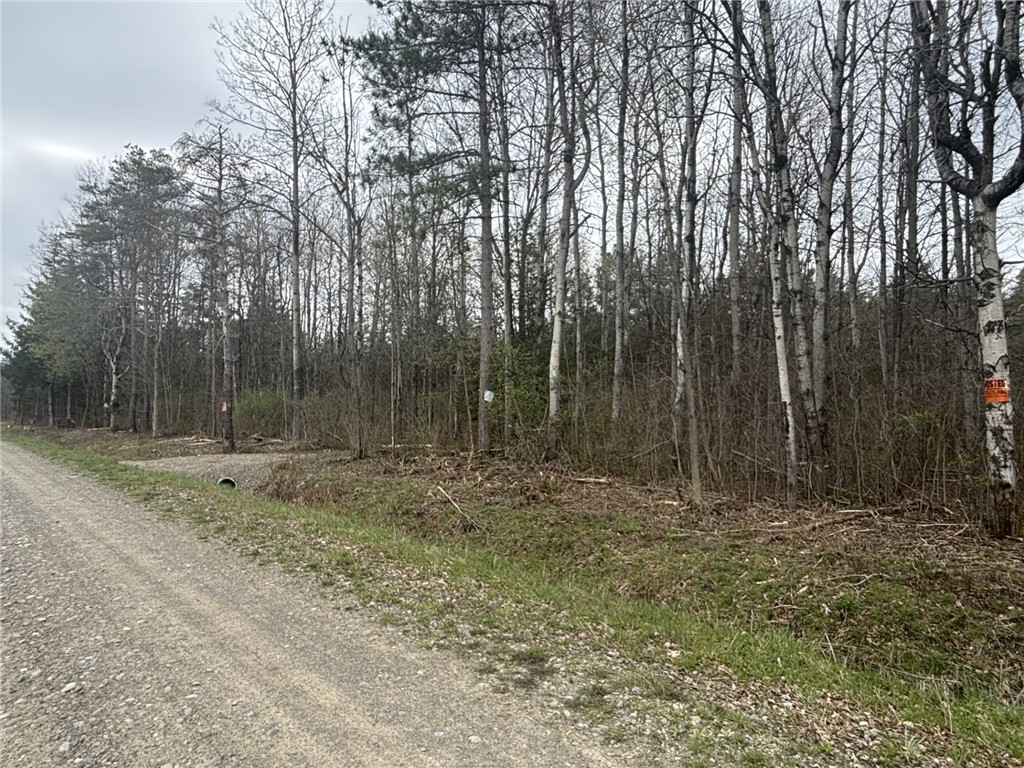 Vl Wagner Road Arkport, NY 14807 - Photo 1 of 12