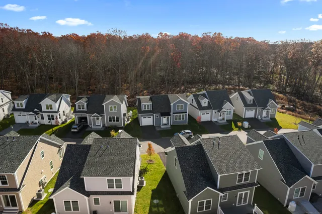 an aerial view of a house with swimming pool and big trees