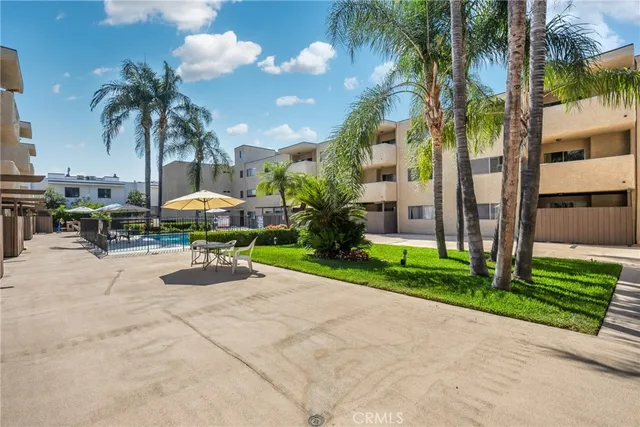 a view of a backyard with plants and palm tree