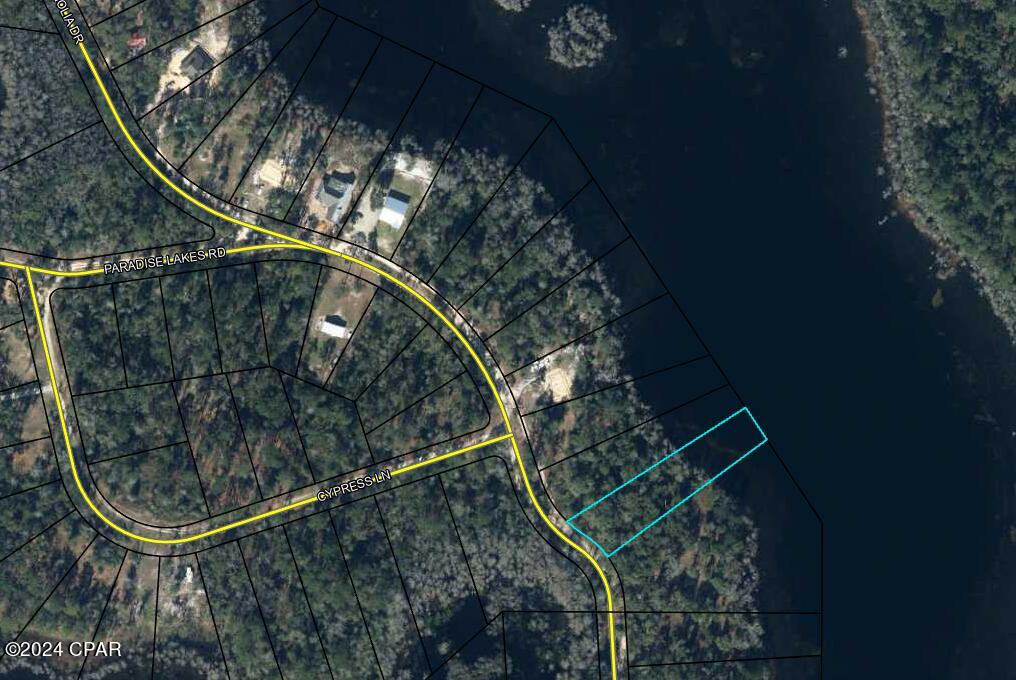 0 Paradise Lakes Road Vernon, FL 32462 - Photo 4 of 6