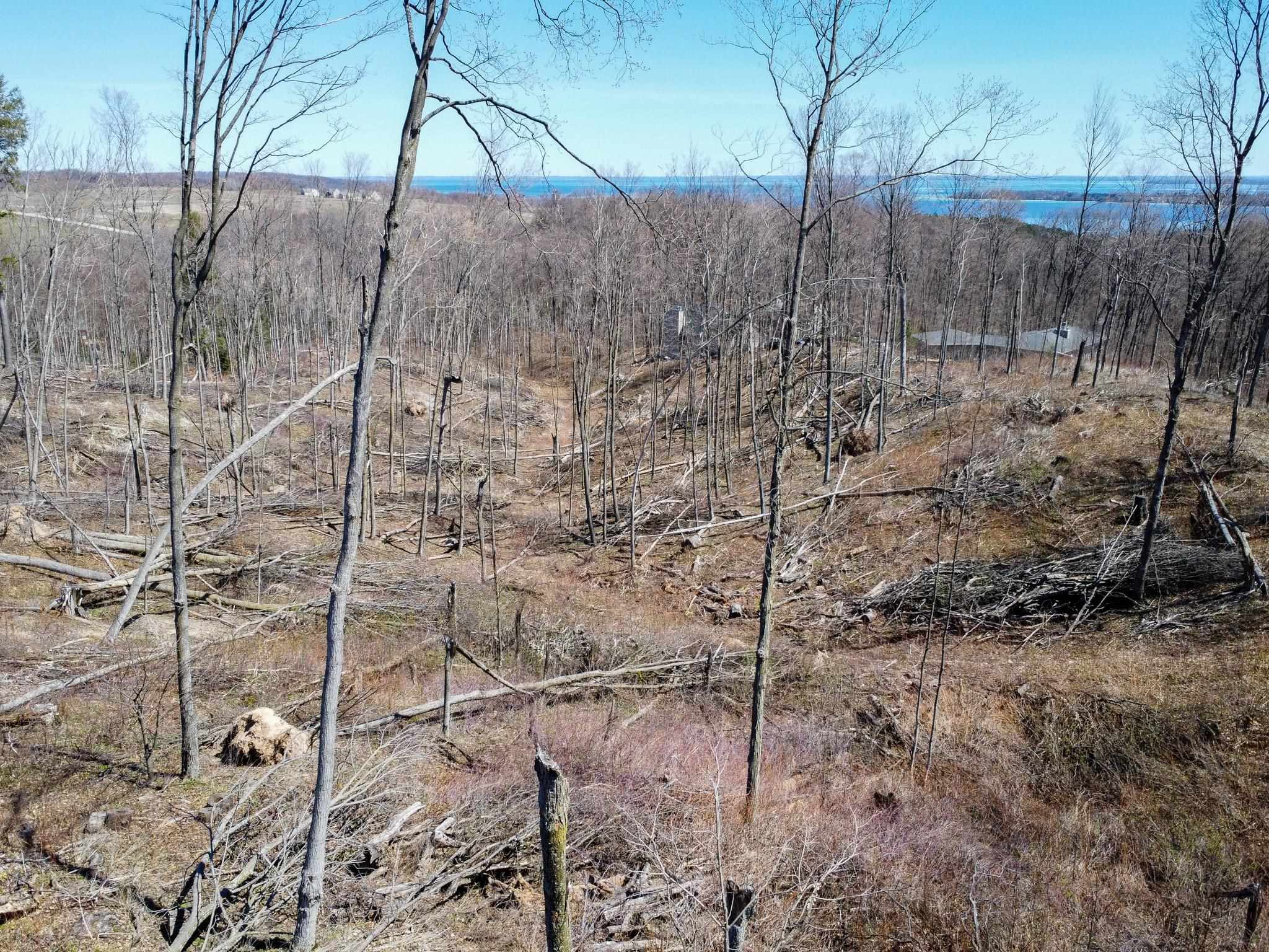 0 East Smiseth Road Suttons Bay, MI 49682 - Photo 14 of 67