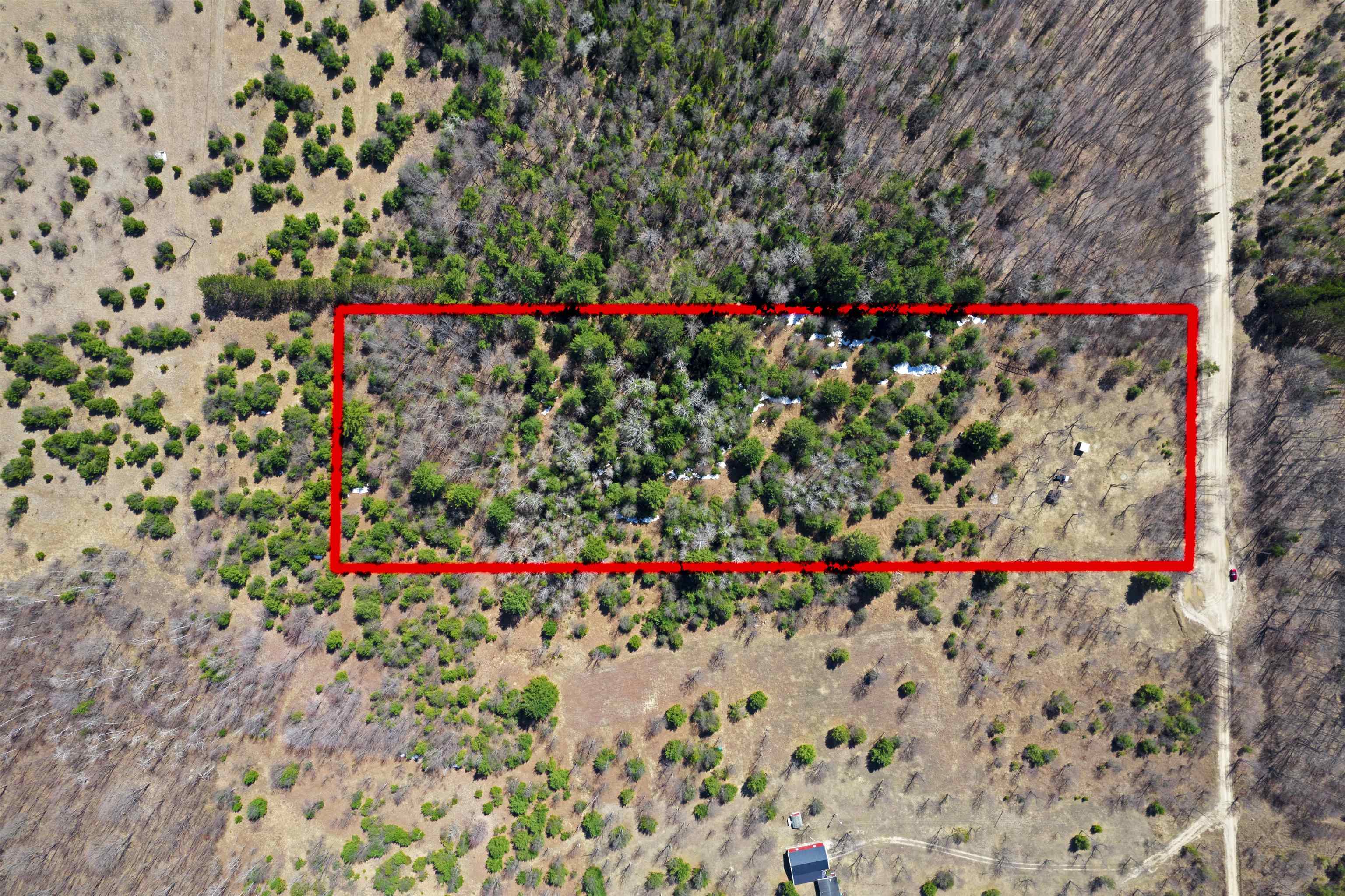8324 Besaw Road Northeast Mancelona, MI 49659 - Photo 7 of 24 1932813-7076165f-85c8-475d-aa22-27de23be61d1.JPG