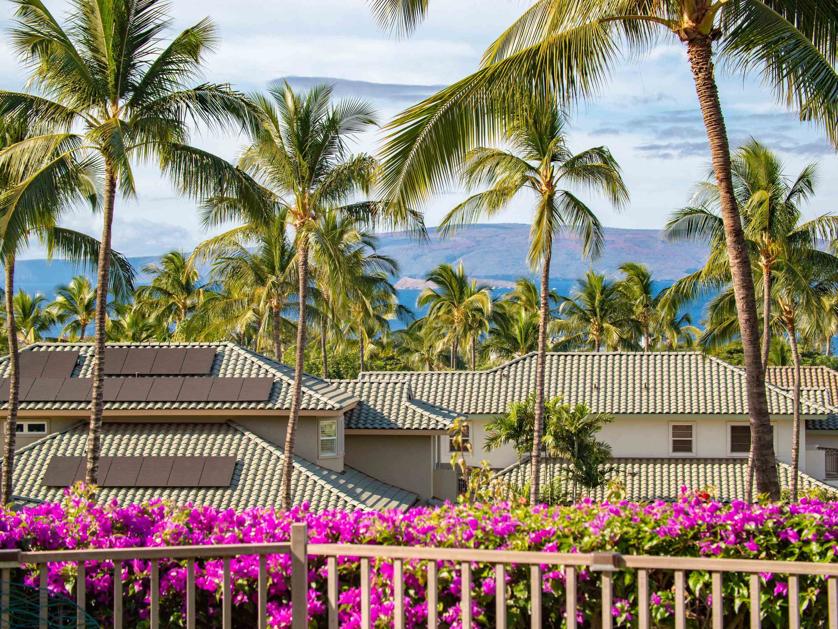 72 Kainui Loop, Unit 70A Kihei, HI 96753 - Photo 11 of 50 a view of street along with potted plants and large tree