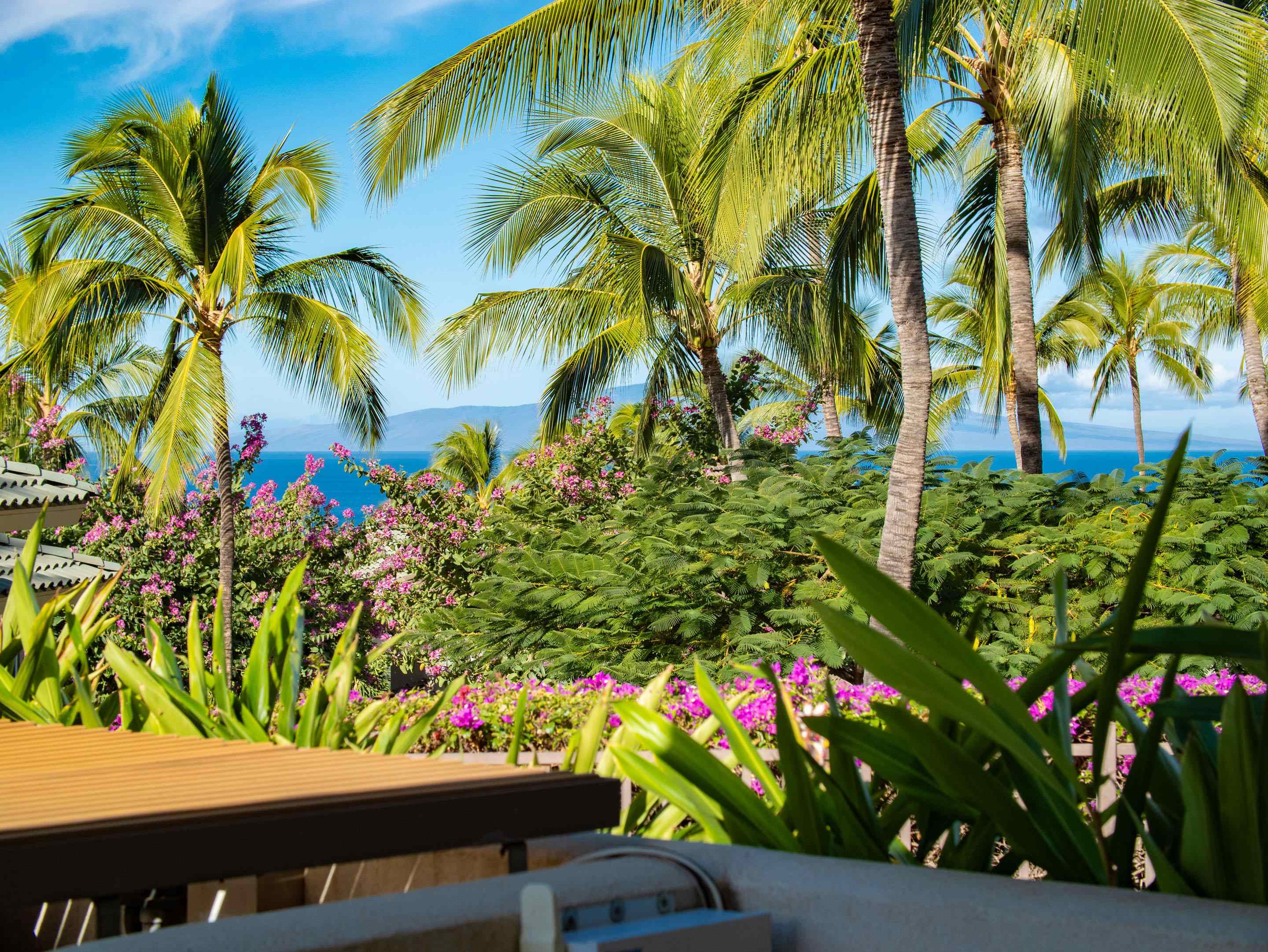 72 Kainui Loop, Unit 70A Kihei, HI 96753 - Photo 19 of 50 a view of a bunch of flowers