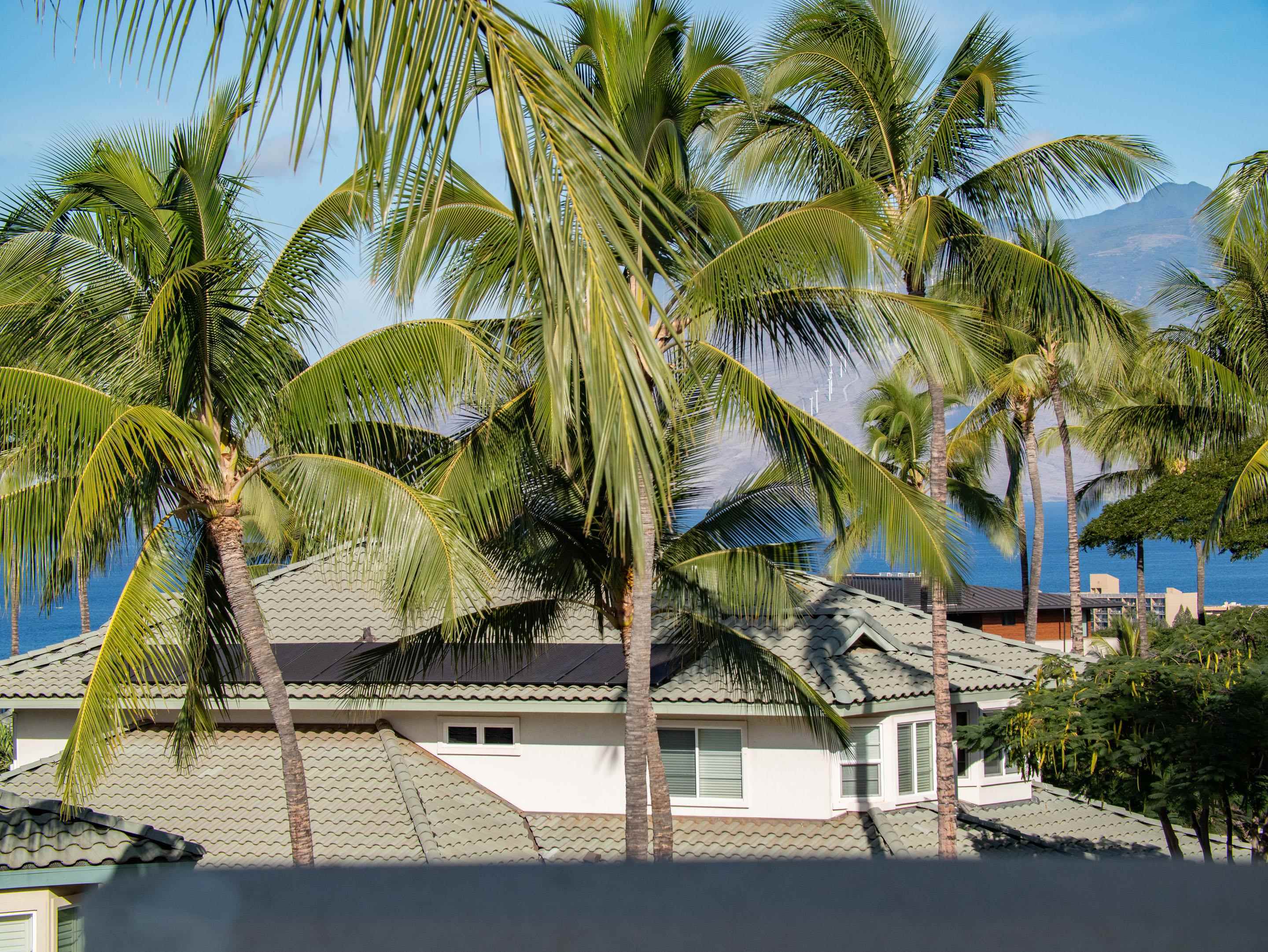 72 Kainui Loop, Unit 70A Kihei, HI 96753 - Photo 23 of 50 a view of multiple house with palm trees
