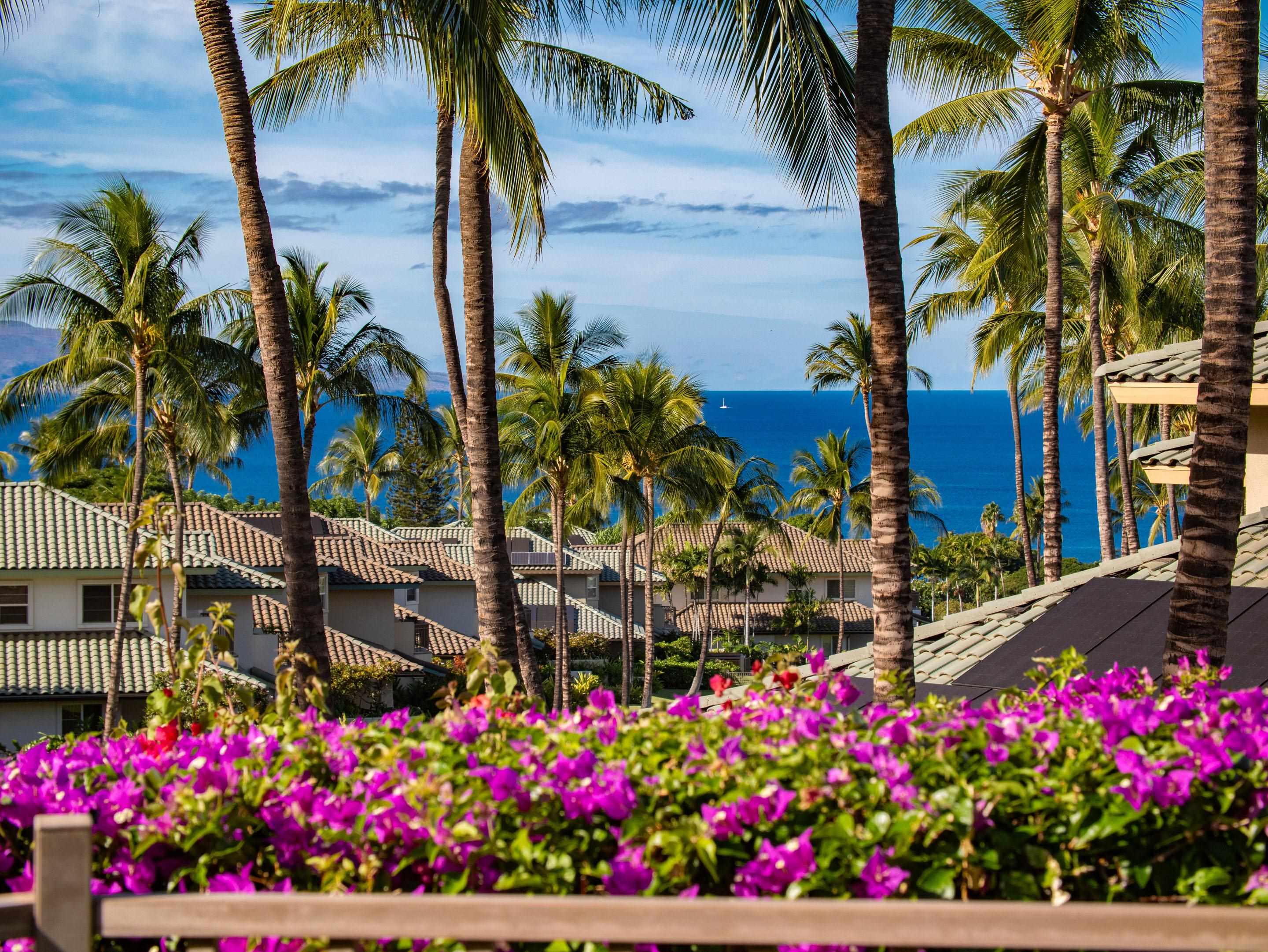 72 Kainui Loop, Unit 70A Kihei, HI 96753 - Photo 47 of 50 a view of street with flower in front of house