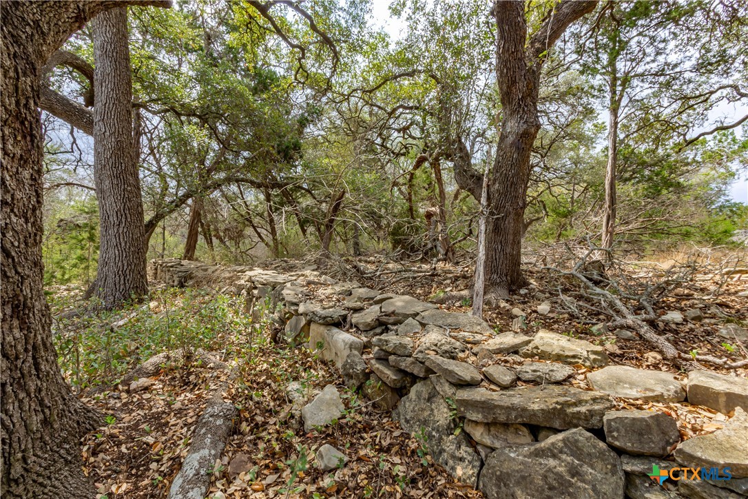 250 Mail Rte Road Fischer, TX 78623 - Photo 16 of 30