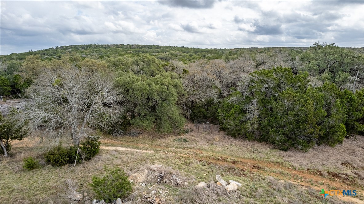 250 Mail Rte Road Fischer, TX 78623 - Photo 18 of 30