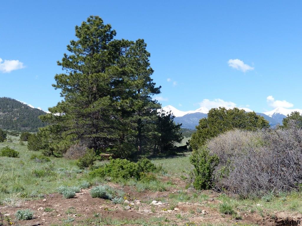L45 Roundup Road Westcliffe, CO 81252 - Photo 17 of 25 Gallery Image 17