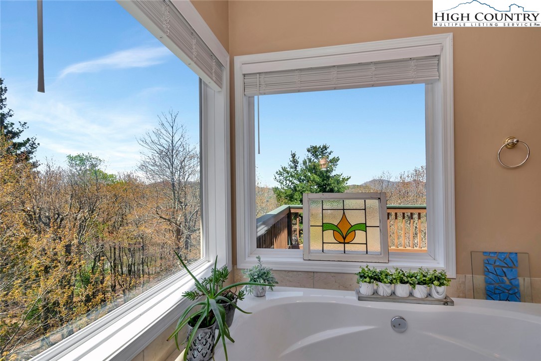 190 Summit Park Circle Boone, NC 28607 - Photo 31 of 50 a potted plant sitting in front of a door