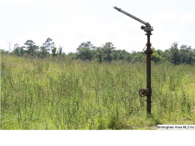 Mudd Street Lincoln, AL 35096 - Photo 17 of 32