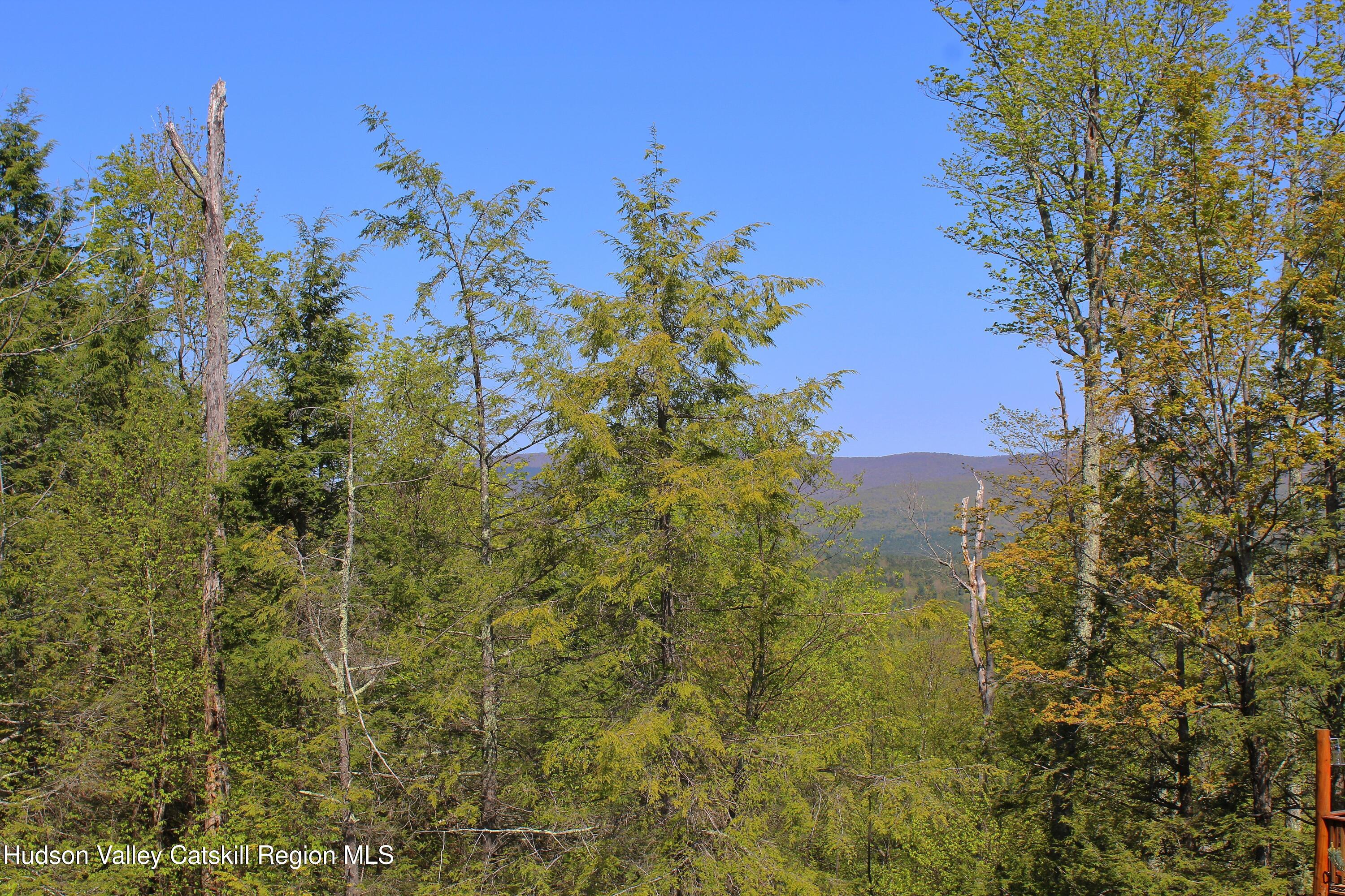 3 Rockledge Road Windham, NY 12496 - Photo 7 of 17 a view of a bunch of trees and bushes