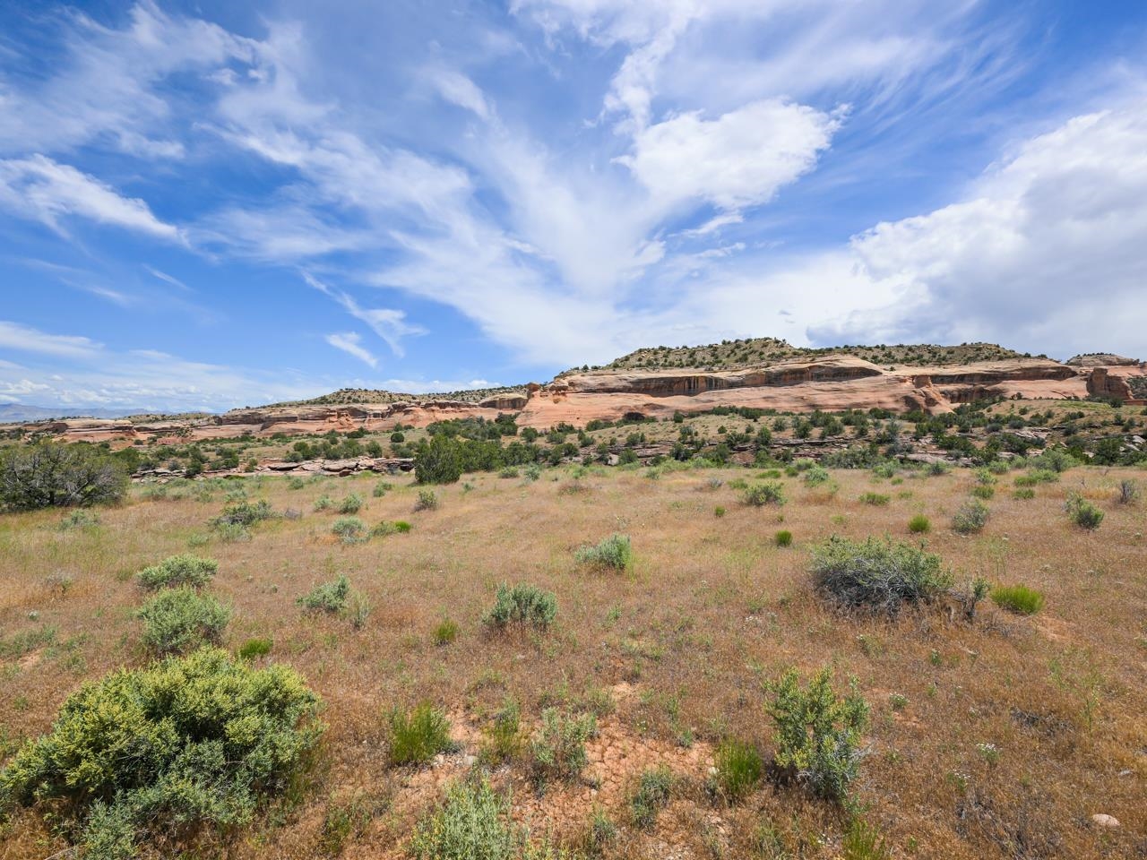 1347 I 1/2 Road Fruita, CO 81521 - Photo 17 of 22