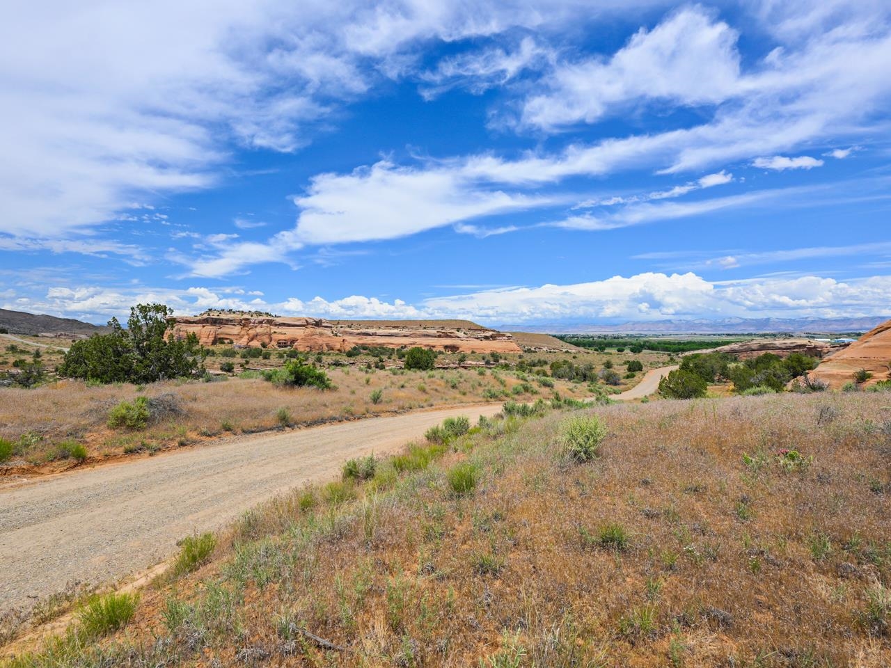 1347 I 1/2 Road Fruita, CO 81521 - Photo 19 of 22