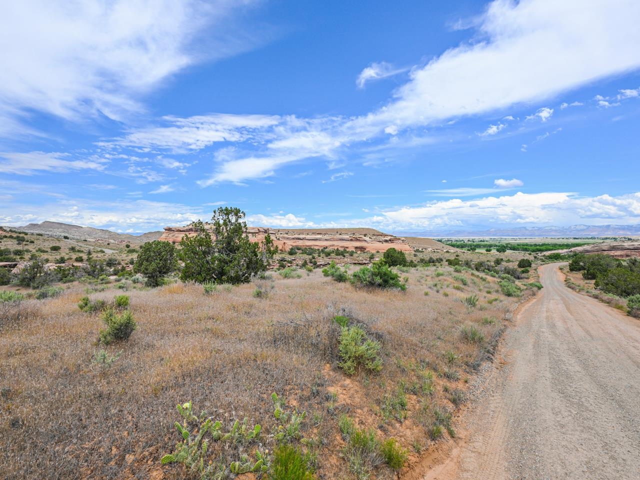 1347 I 1/2 Road Fruita, CO 81521 - Photo 20 of 22