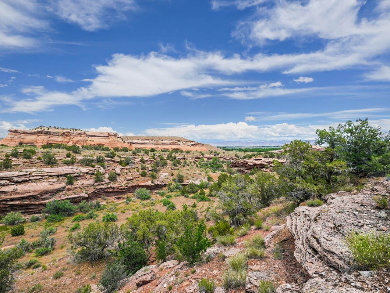 1347 I 1/2 Road Fruita, CO 81521 - Photo 2 of 22