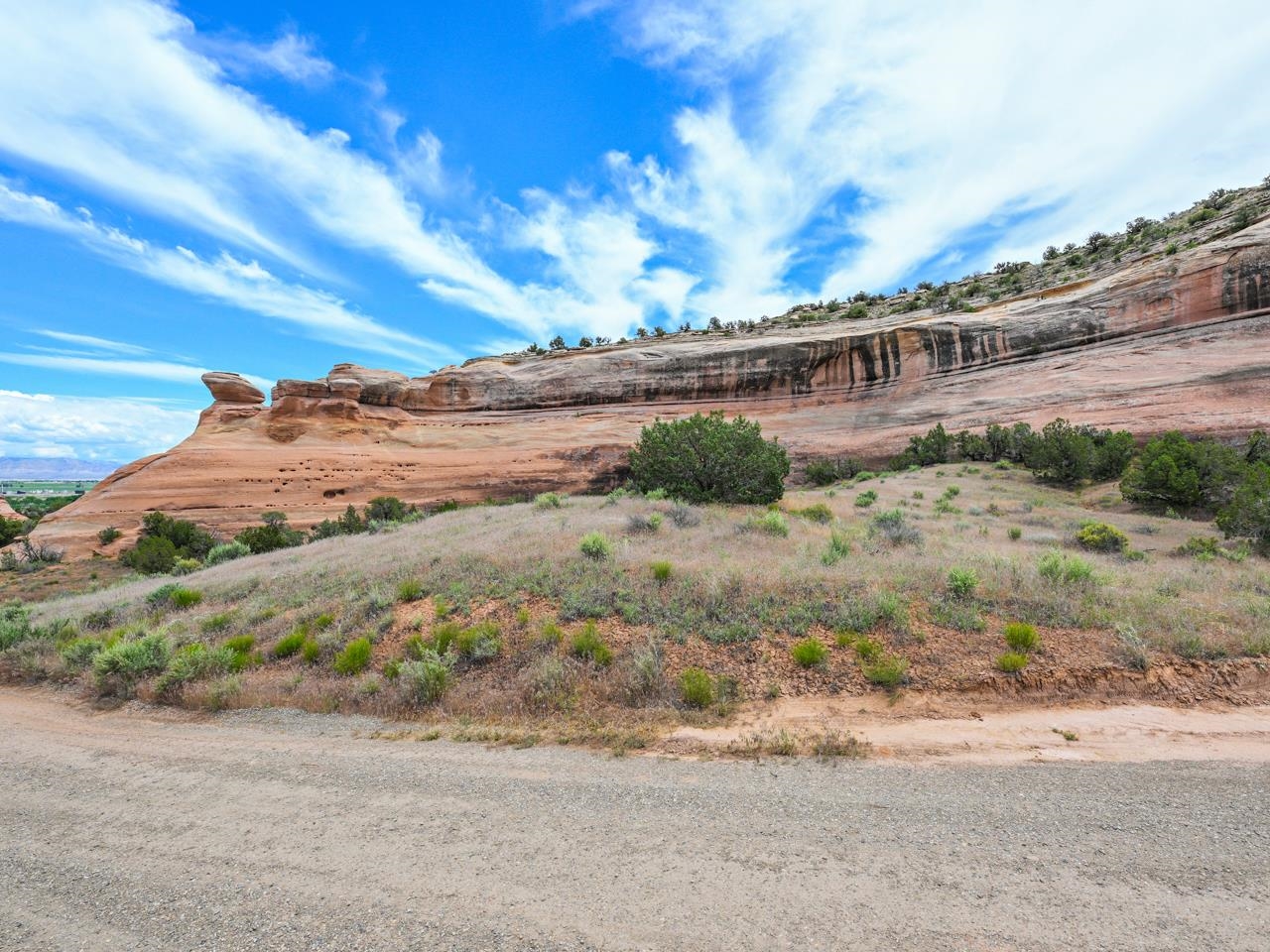 1347 I 1/2 Road Fruita, CO 81521 - Photo 4 of 22