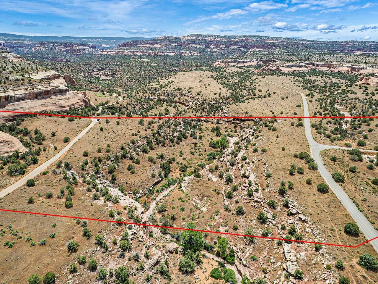 1347 I 1/2 Road Fruita, CO 81521 - Photo 9 of 22