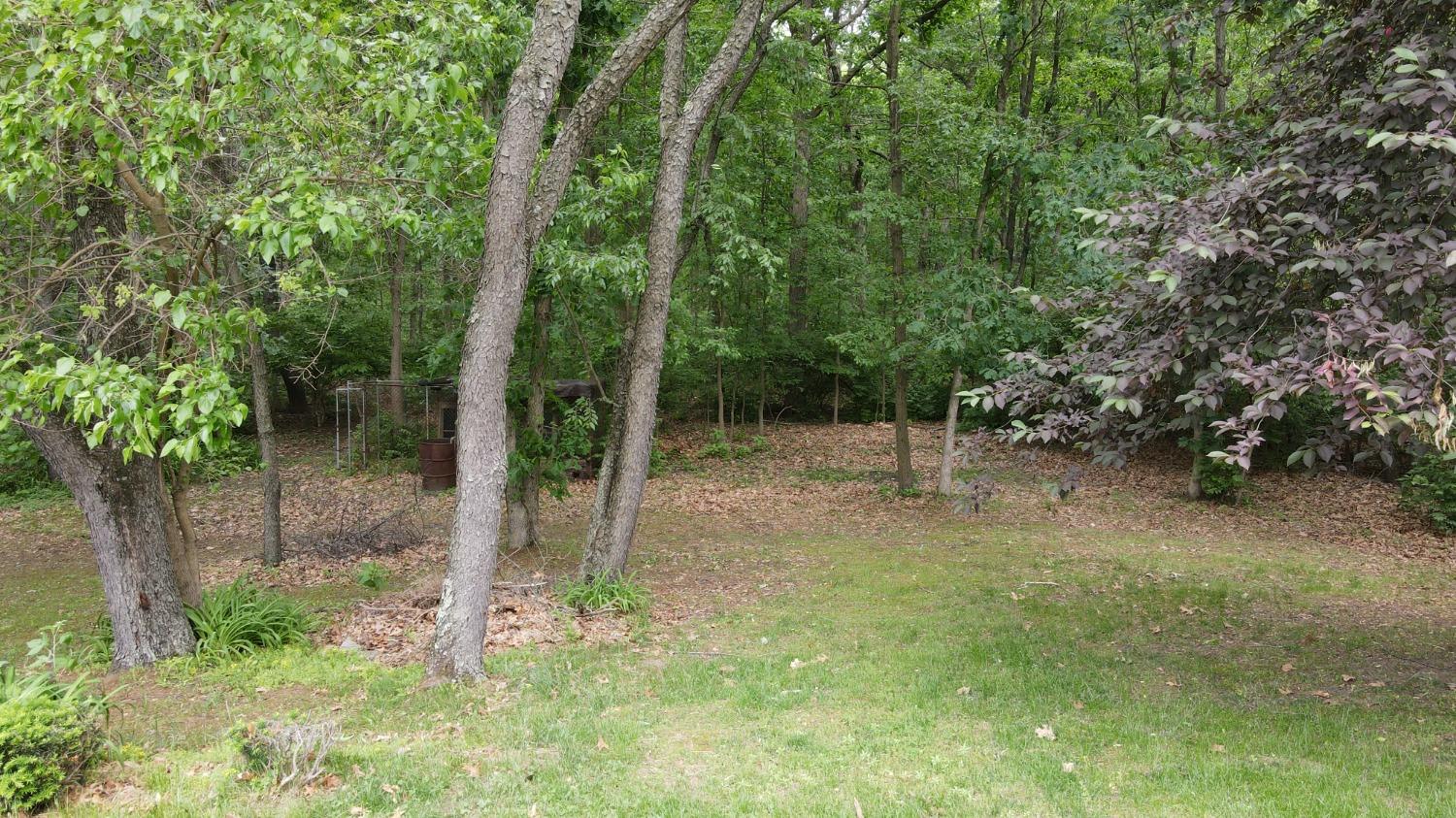 10903 Potomac Drive Demotte, IN 46310 - Photo 41 of 42 1500x843